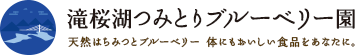 滝桜湖つみとりブルーベリー園