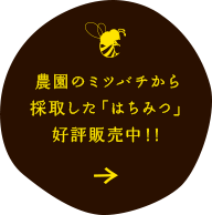 農園のミツバチから採取した「はちみつ」好評販売中!!