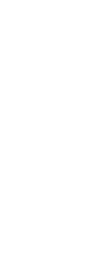 三春の滝桜のほど近く 豊かな自然の中で育てられた おいしいブルーベリー